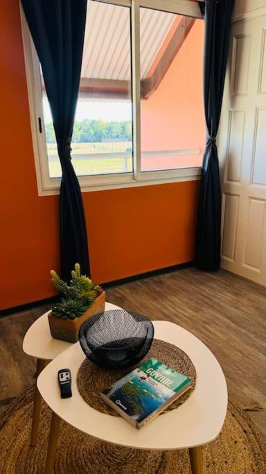 T2 Le Cosy, Au Coeur De Montjoly, Parking, Clim Apartment Remire-Montjoly Bagian luar foto